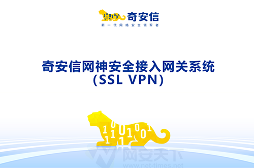 奇安信網神安全接入網關系統（SSL VPN）